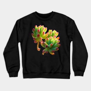 sedum pachyphyllum Crewneck Sweatshirt